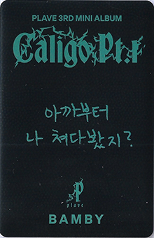 back:밤비