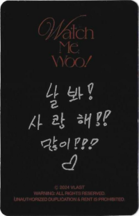 back:노아