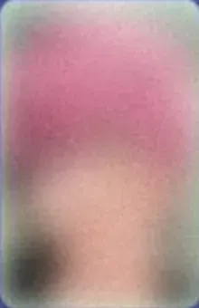 front:밤비