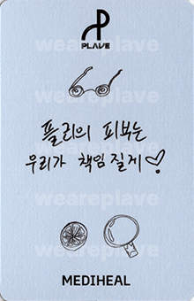 back:노아